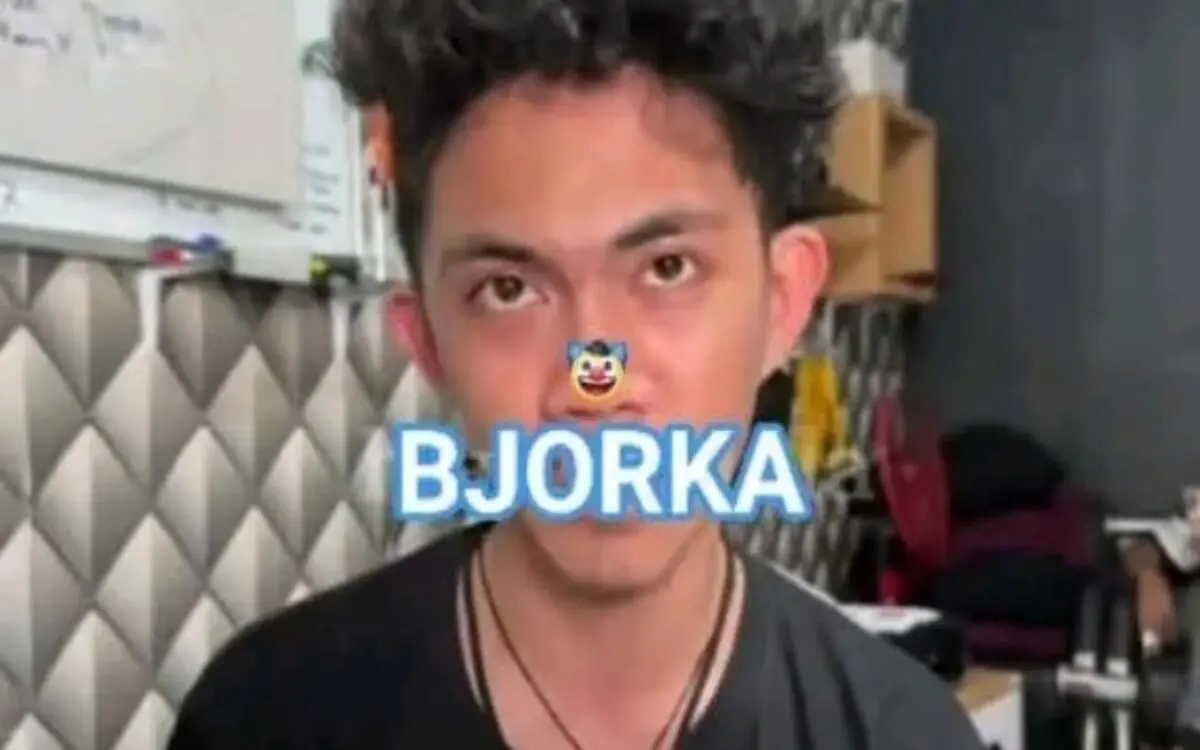 Bjorka Masih Bebas? Akunnya Aktif Usai Polisi Tangkap WFT: Kini Sindir Penangkapan 