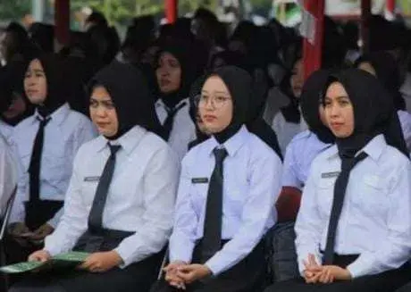 3 Kelompok yang Diusulkan oleh BKPSDM Kabupaten Kotim untuk Jadi PPPK Paruh Waktu, Apa Saja?