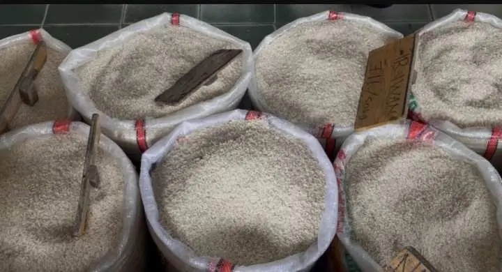Heboh Beras Oplosan! Pemerintah akan Atur Ulang Pasar Beras, Ada Dua Jenis Beras yang Boleh Beredar
