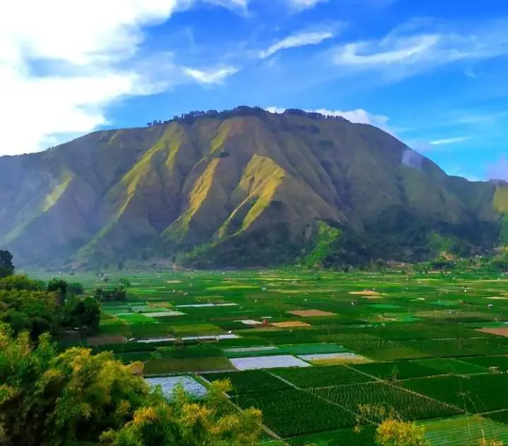Eksplorasi The Wellness of Sembalun Lombok yang Miliki Landscape Mempesona Laksana Switzerland