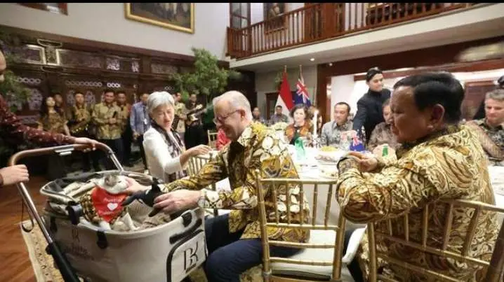 Wah Keren! PM Anthony Albanese Beri Hadiah ke Bobby Kertanegara Kucing Prabowo, Ini Detailnya!