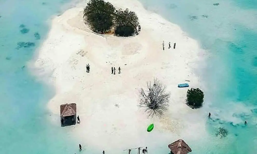 Reklamasi Kontroversial! Mangrove di Pulau Pari Dibabat Habis, Lingkungan Rusak Parah